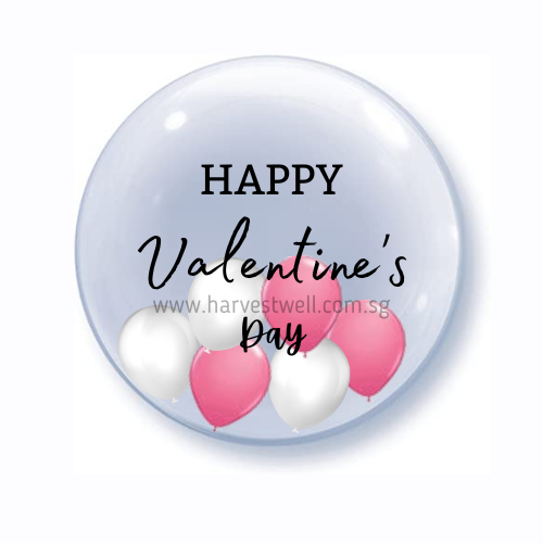 Happy Valentine's Day Bubble Balloon